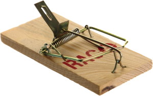 Mouse trap PNG-28442